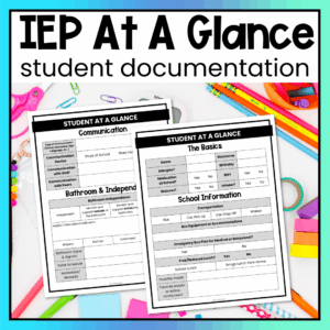 Student IEP At A Glance