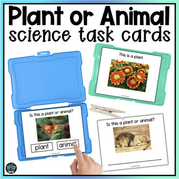 Science Physical Science Plant and Animal Printable Task Cards Special Education