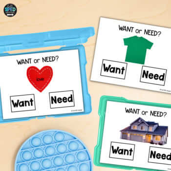 Economics Basic Wants or Needs Task Cards Activities Centers Special Education - Image 4