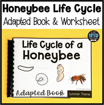 Life Cycle of a Bee Adapted Book Worksheet Special Education Science Lesson Unit