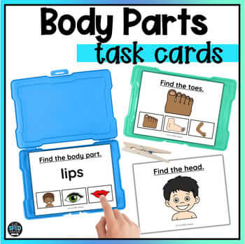Parts of the Body Identify Body Parts Task Cards Special Education Kindergarten