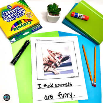 Predictable Chart Writing Curriculum Lessons Prompts Sentences Special Education - Image 2