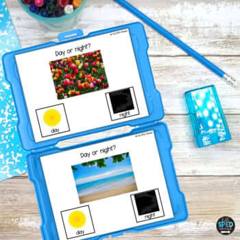 Telling Time Math Day or Night Task Cards Special Education Centers IEP Goals - Image 3