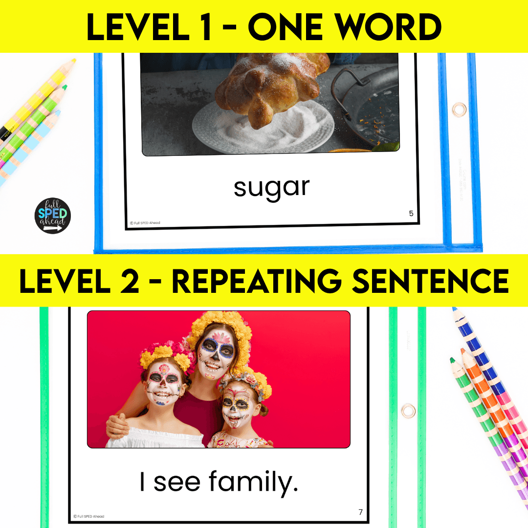 Day of Dead Emergent Reading Comprehension Special Education Adapted