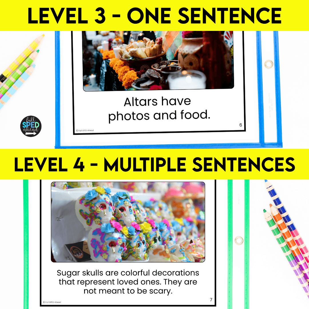 Day of Dead Emergent Reading Comprehension Special Education Adapted
